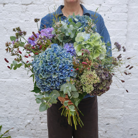 Hydrangea Cloud