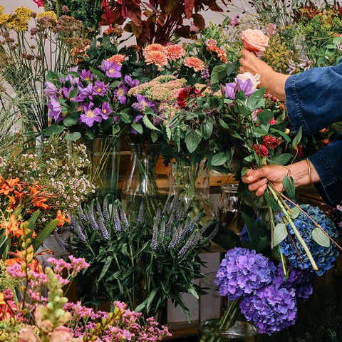Florist's Choice