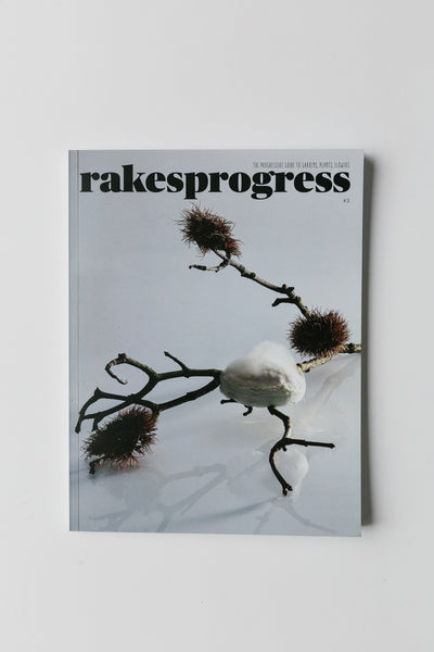 Rakesprogress Magazine