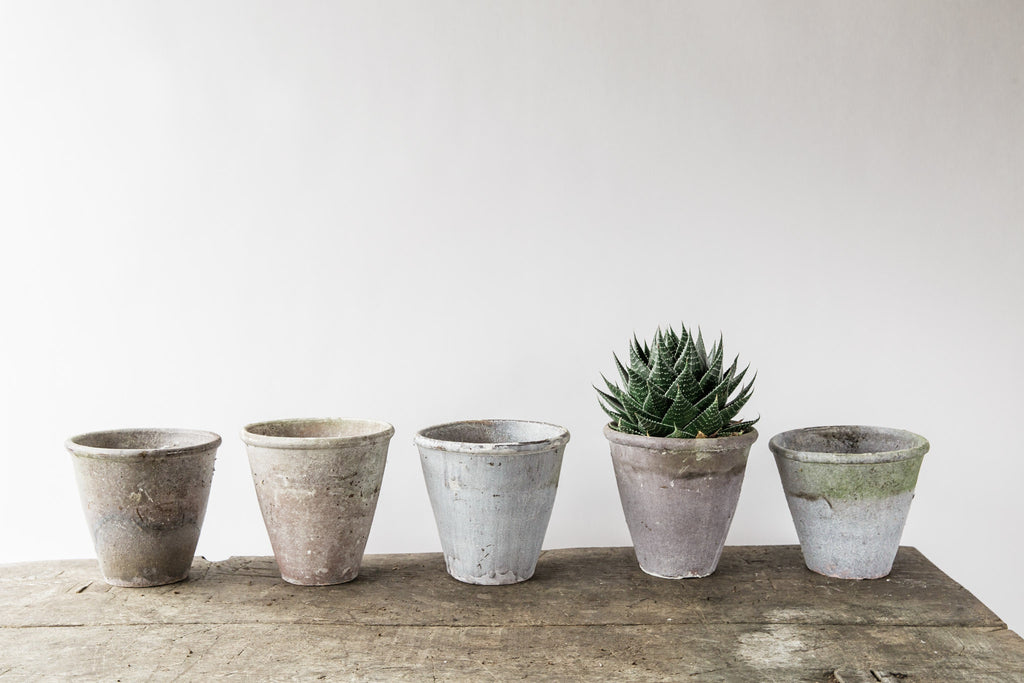 Weathered Pot