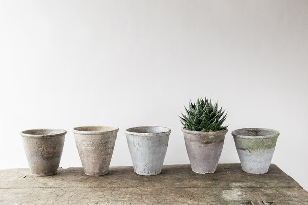 Weathered Pot