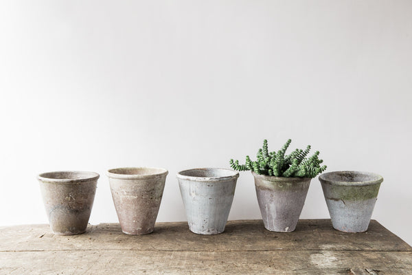 Weathered Pot