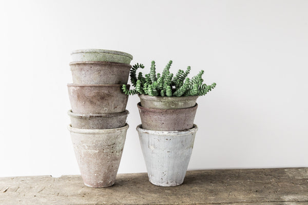 Weathered Pot