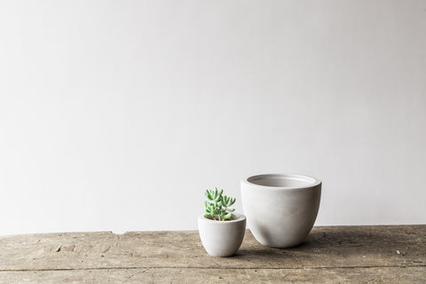 Round Concrete Pot